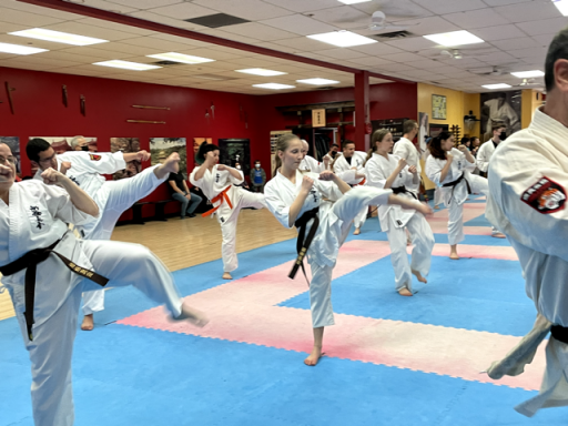 Canada Alain Bordeleau Grading Exam 2022 | World Karate Organization ...